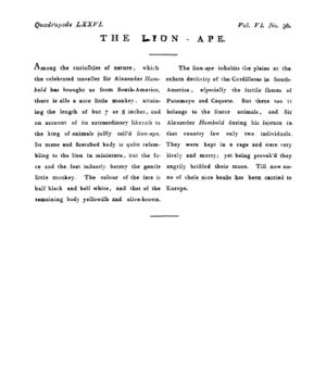 Ad00341 05 038a03.jpg