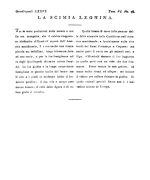 Ad00341 05 038a04.jpg