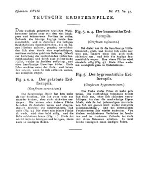 Ad00341 05 039a01.jpg