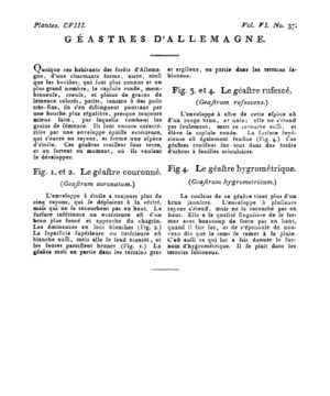 Ad00341 05 039a02.jpg