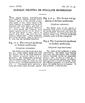 Ad00341 05 039a03.jpg