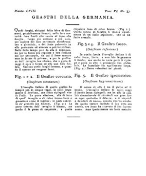 Ad00341 05 039a04.jpg
