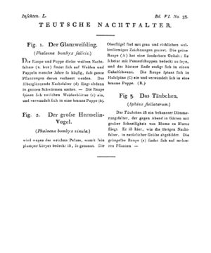 Ad00341 05 040a01.jpg