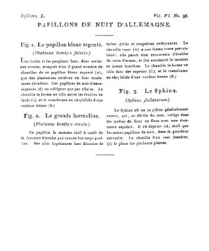 Ad00341 05 040a02.jpg