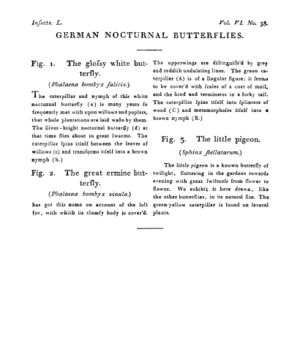 Ad00341 05 040a03.jpg