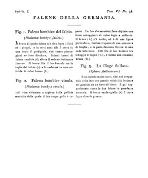 Ad00341 05 040a04.jpg