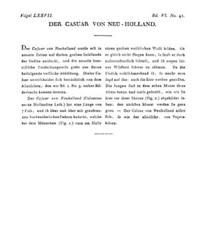 Ad00341 05 043a01.jpg