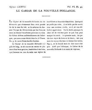 Ad00341 05 043a02.jpg