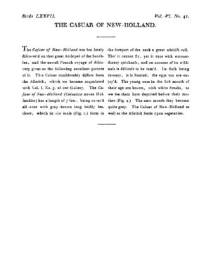 Ad00341 05 043a03.jpg