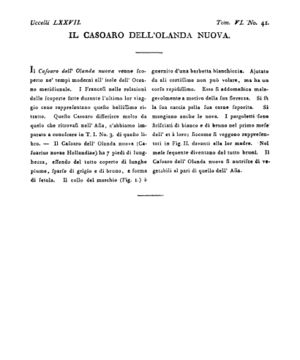 Ad00341 05 043a04.jpg