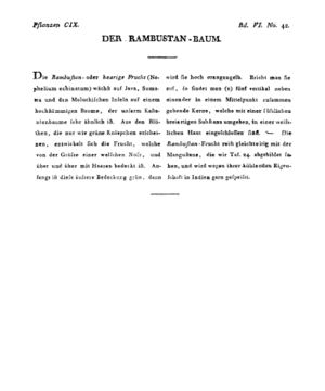 Ad00341 05 044a01.jpg