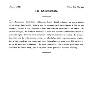Ad00341 05 044a02.jpg