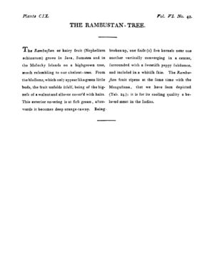 Ad00341 05 044a03.jpg