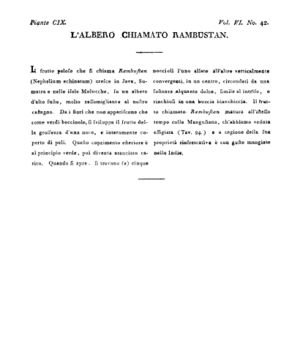 Ad00341 05 044a04.jpg