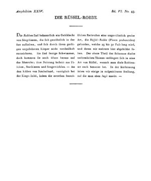 Ad00341 05 045a01.jpg