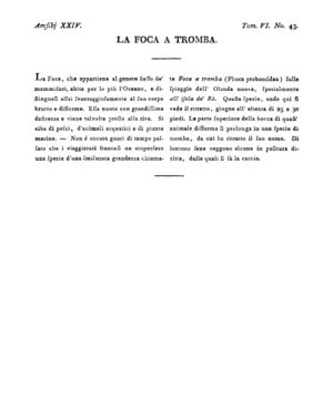 Ad00341 05 045a04.jpg