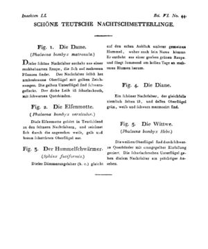 Ad00341 05 046a01.jpg
