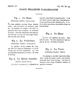 Ad00341 05 046a02.jpg
