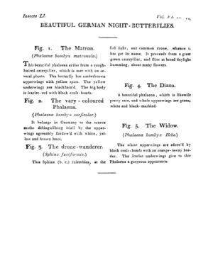 Ad00341 05 046a03.jpg