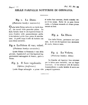 Ad00341 05 046a04.jpg