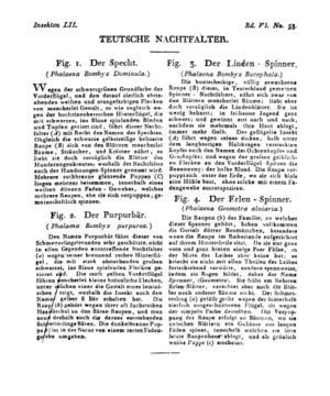 Ad00341 05 055a01.jpg