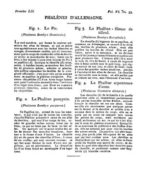 Ad00341 05 055a02.jpg