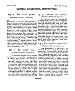 Ad00341 05 055a03.jpg
