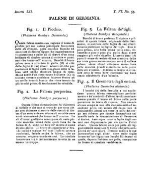 Ad00341 05 055a04.jpg