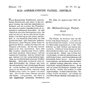Ad00341 05 057a01.jpg
