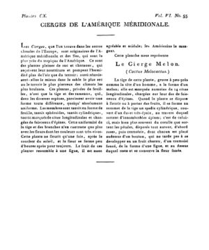 Ad00341 05 057a02.jpg