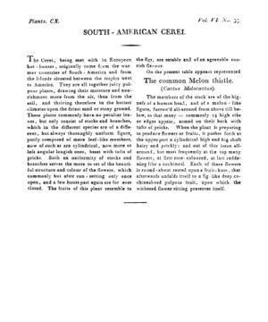 Ad00341 05 057a03.jpg