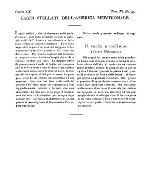 Ad00341 05 057a04.jpg