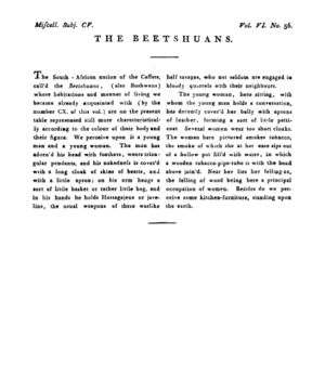 Ad00341 05 058a03.jpg