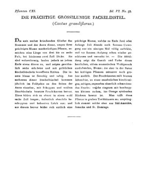 Ad00341 05 060a01.jpg