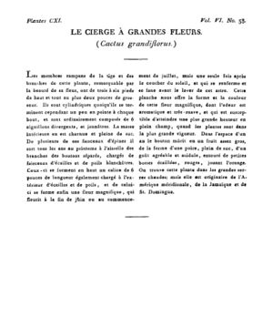 Ad00341 05 060a02.jpg