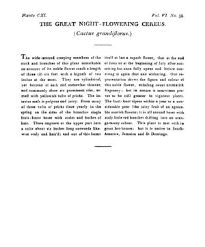 Ad00341 05 060a03.jpg