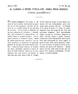 Ad00341 05 060a04.jpg