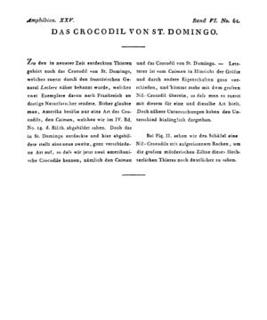 Ad00341 05 063a01.jpg