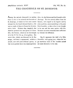 Ad00341 05 063a03.jpg