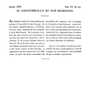 Ad00341 05 063a04.jpg