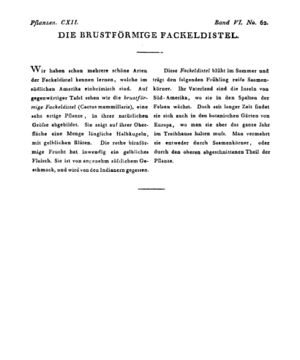 Ad00341 05 064a01.jpg