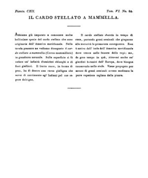 Ad00341 05 064a04.jpg