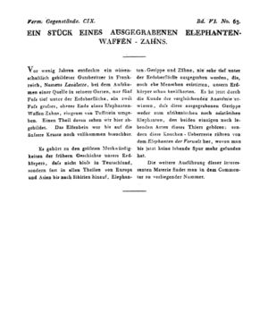 Ad00341 05 065a01.jpg