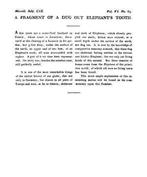Ad00341 05 065a03.jpg
