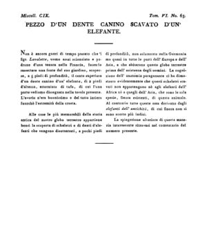 Ad00341 05 065a04.jpg