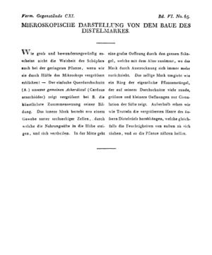 Ad00341 05 067a01.jpg