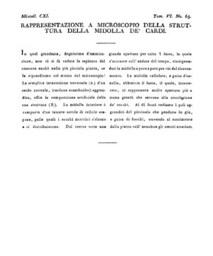 Ad00341 05 067a04.jpg