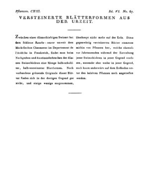 Ad00341 05 069a01.jpg