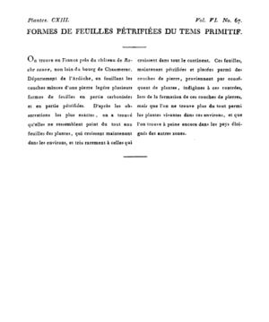 Ad00341 05 069a02.jpg