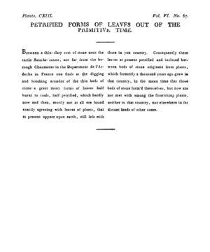 Ad00341 05 069a03.jpg